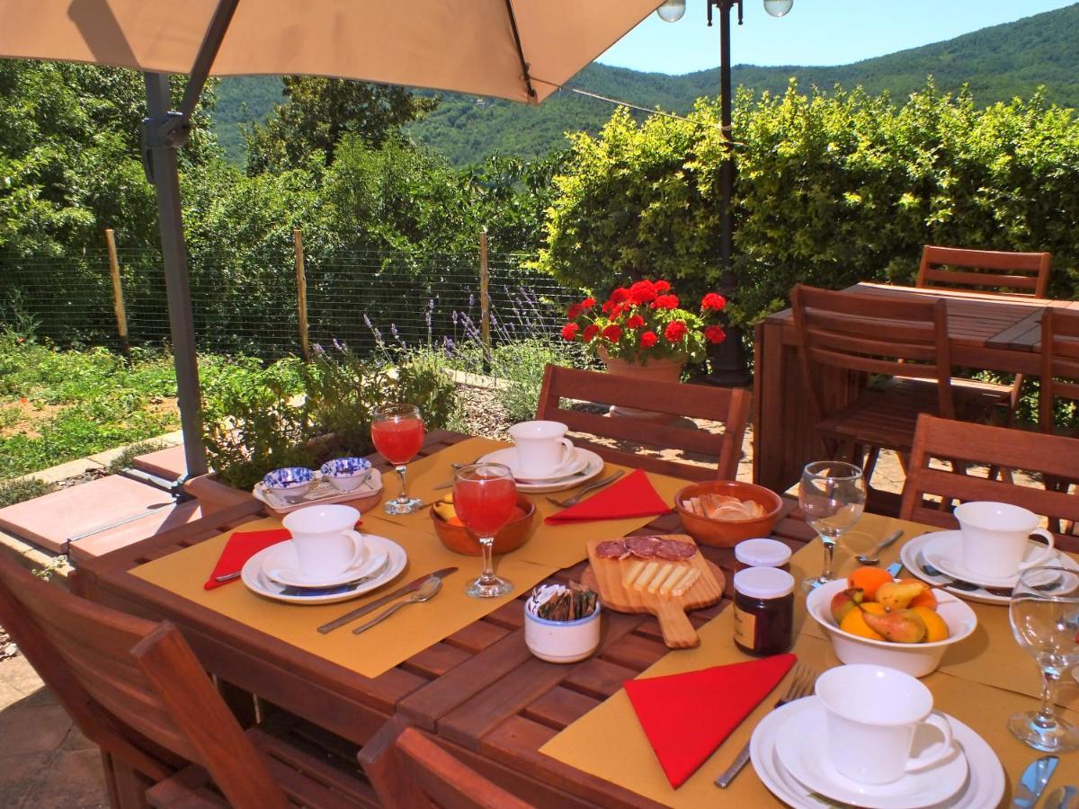 Agriturismo Colli Di Travale Montieri Dış mekan fotoğraf