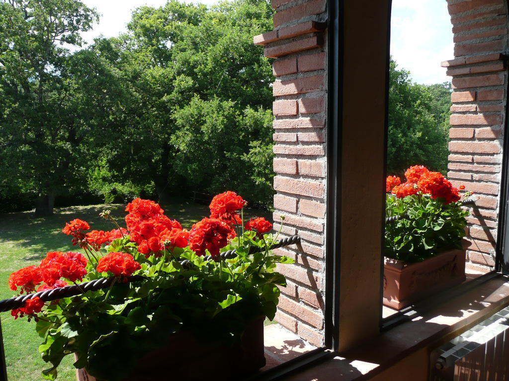 Agriturismo Colli Di Travale Montieri Oda fotoğraf