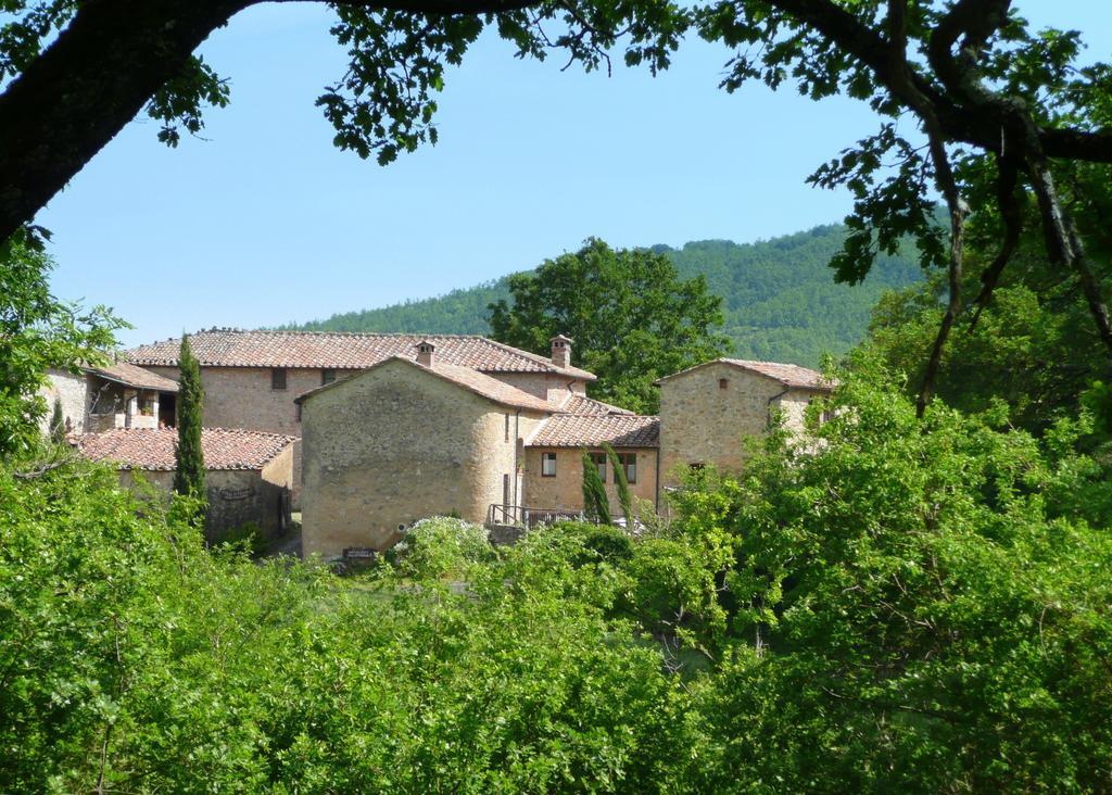 Agriturismo Colli Di Travale Montieri Oda fotoğraf